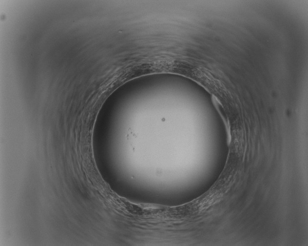 X0000067001057200603311609