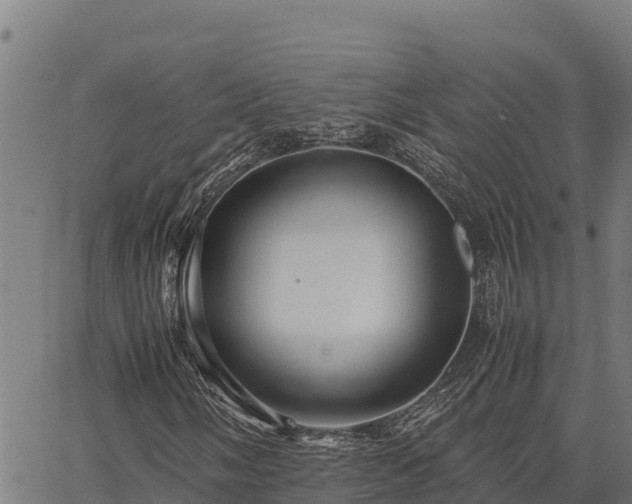 X0000067001058200603311609