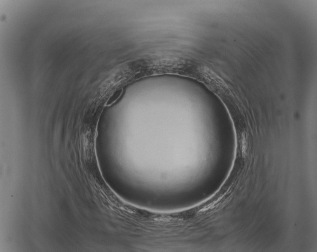 X0000067001059200603311609