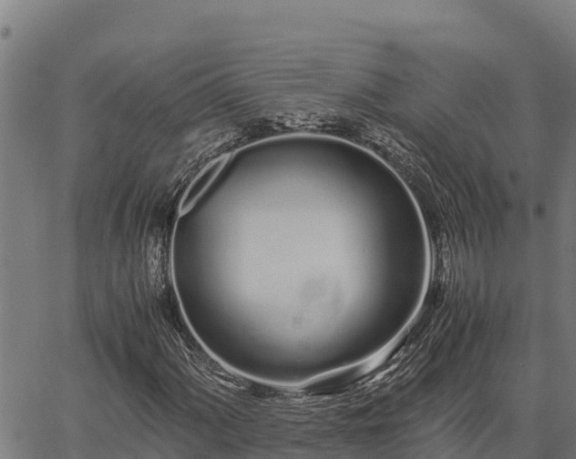 X0000067001060200603311609