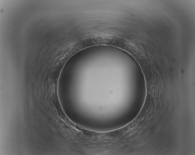 X0000067001061200603311609