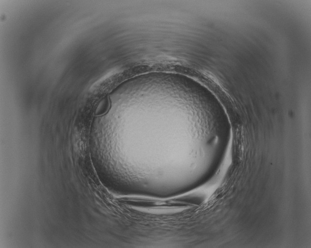 X0000067001063200603311609