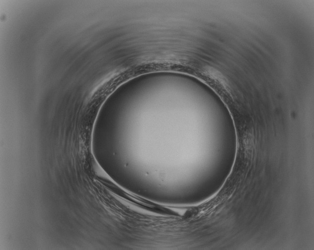 X0000067001064200603311609