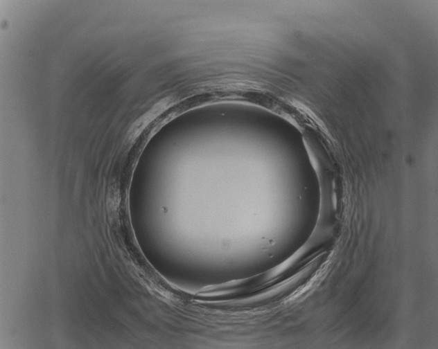 X0000067001065200603311608