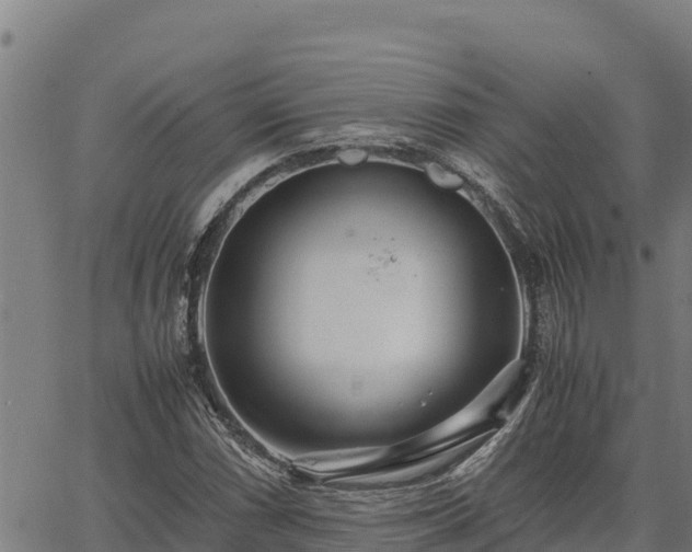 X0000067001066200603311608