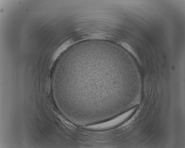 X0000067001067200603311608