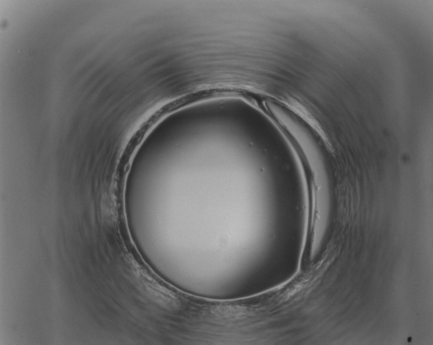 X0000067001068200603311608