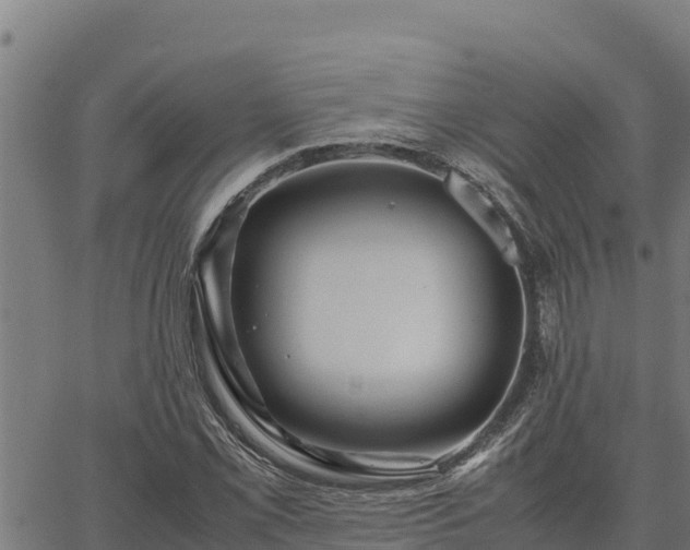 X0000067001069200603311608