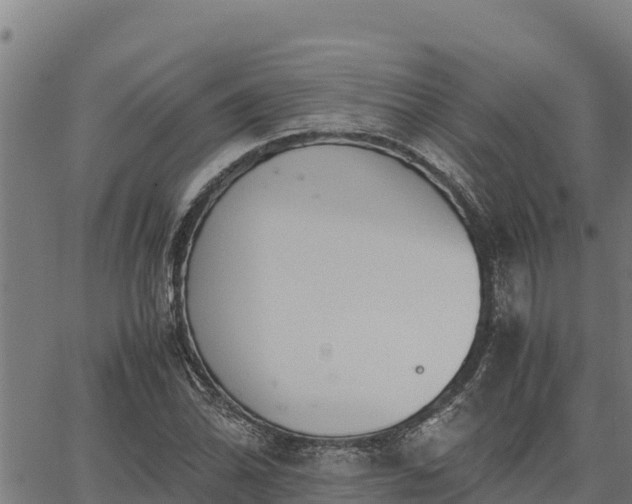 X0000067001070200603311608