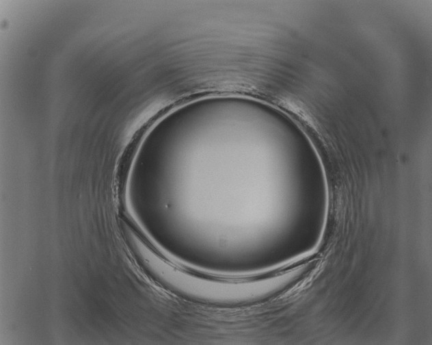 X0000067001071200603311608