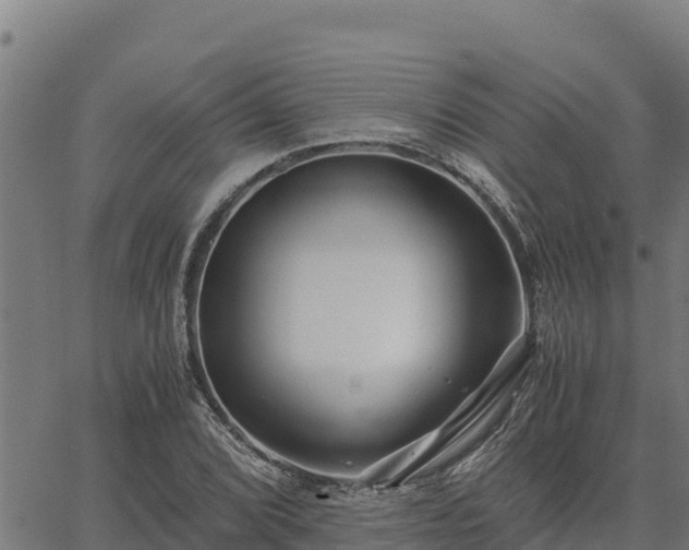 X0000067001072200603311608