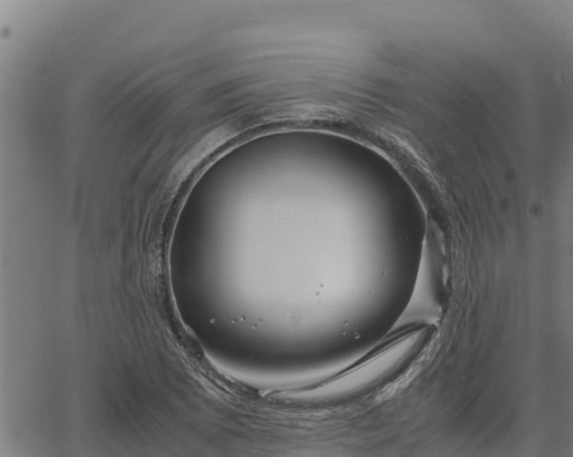 X0000067001073200603311608