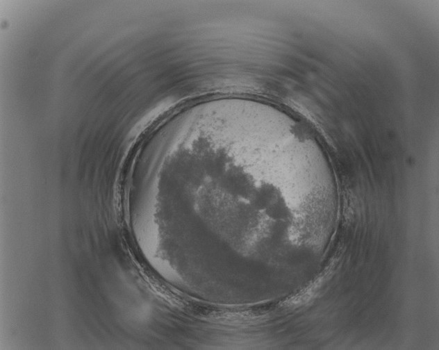 X0000067001074200603311608