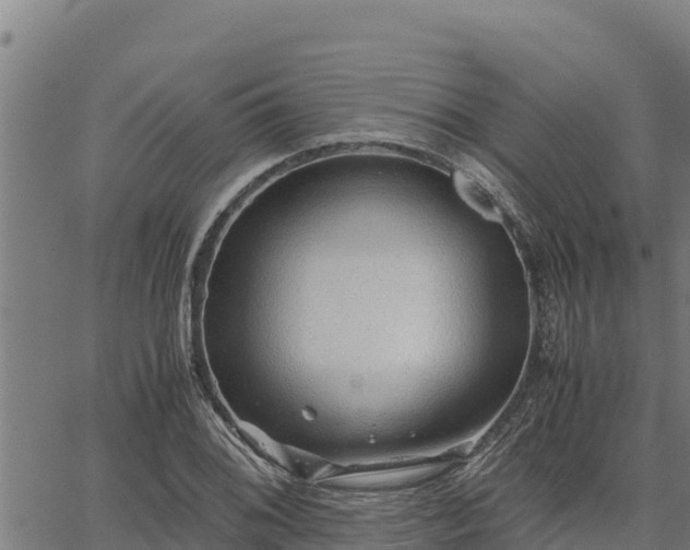 X0000067001076200603311608