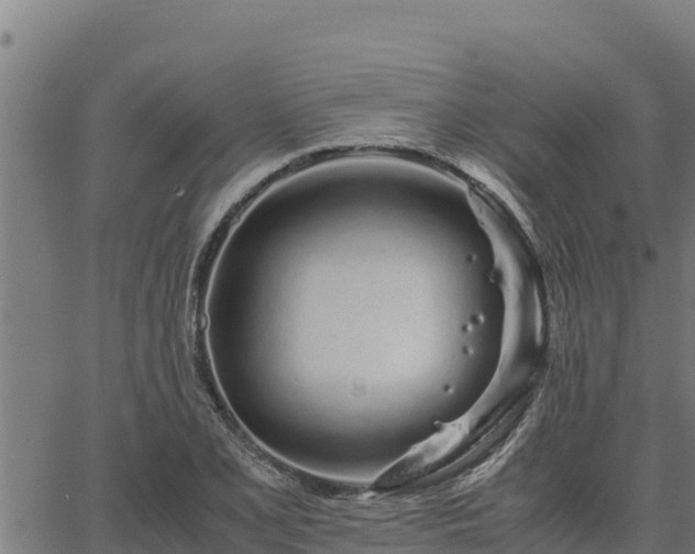 X0000067001077200603311608