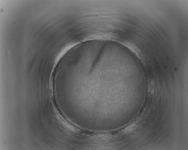 X0000067001078200603311608