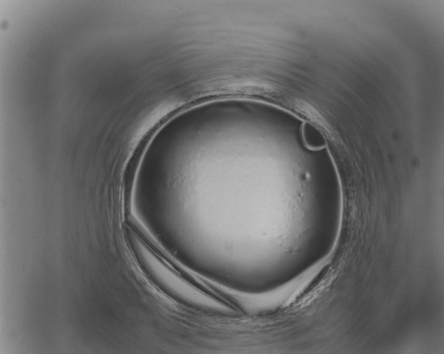 X0000067001079200603311608