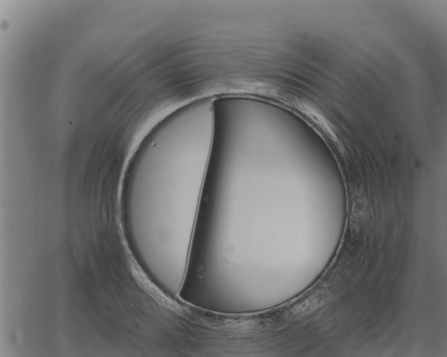 X0000067001080200603311608