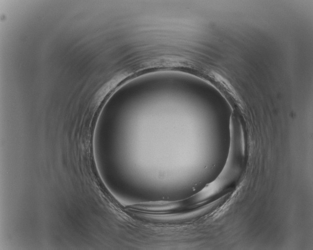 X0000067001081200603311608