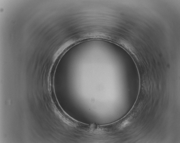 X0000067001082200603311608