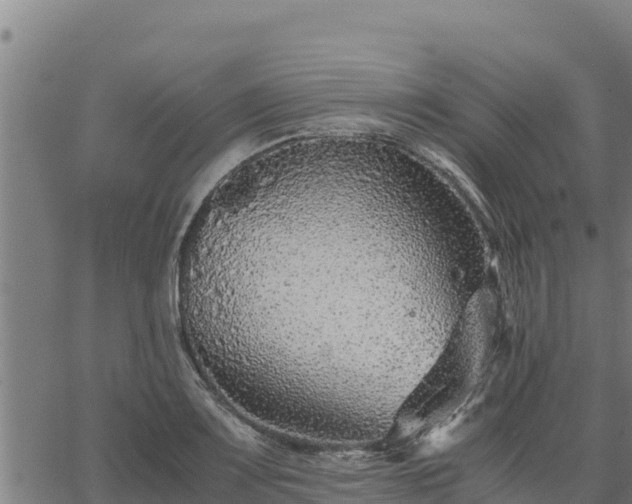 X0000067001083200603311608