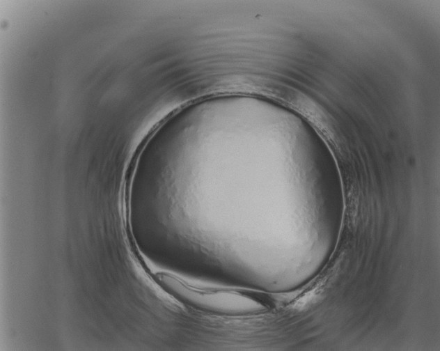 X0000067001084200603311608