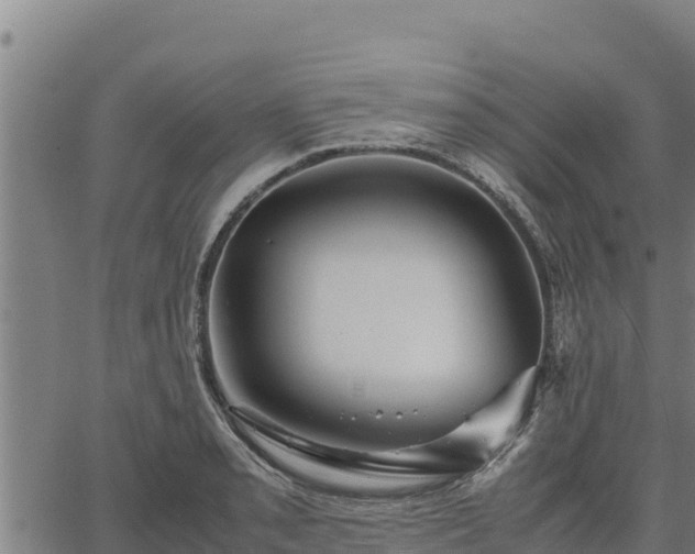 X0000067001085200603311608