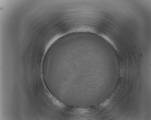 X0000067001086200603311608