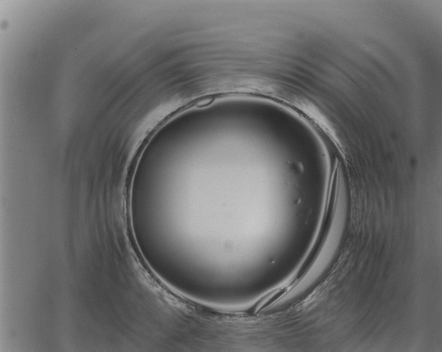 X0000067001088200603311608