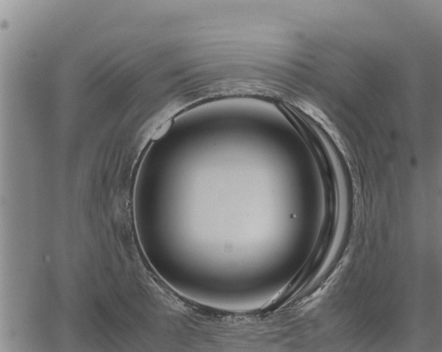 X0000067001089200603311608