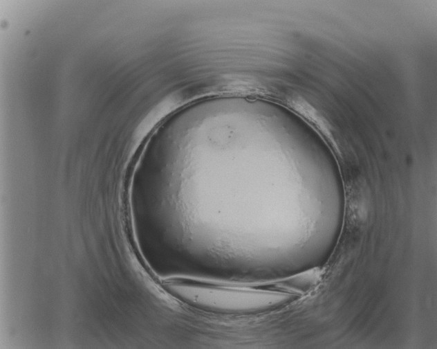 X0000067001091200603311608