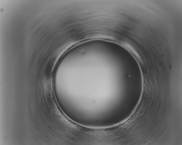 X0000067001092200603311608