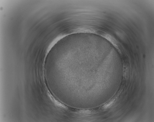 X0000067001094200603311608