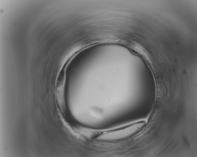 X0000067001095200603311608