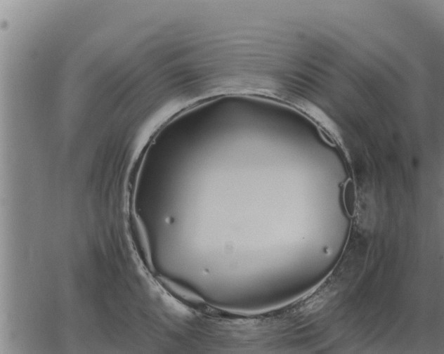 X0000067001096200603311608