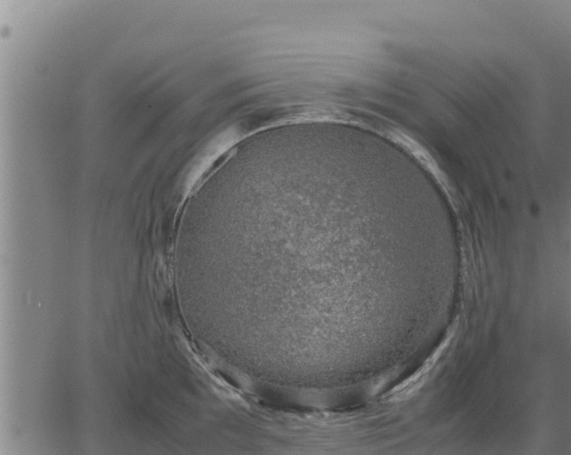 X0000067001097200603311608