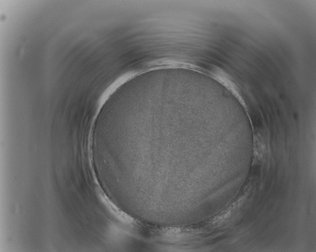 X0000067001098200603311608