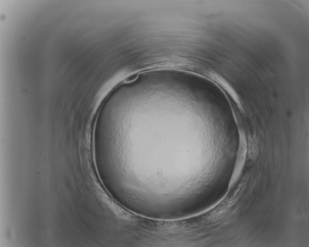 X0000067001099200603311608