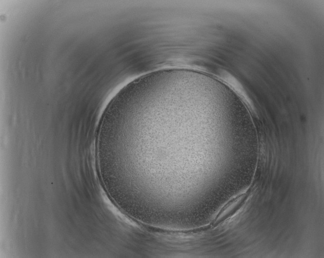 X0000067001100200603311608