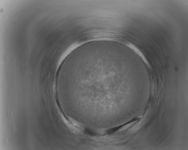 X0000067001101200603311608