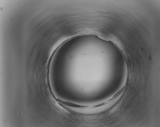 X0000067001102200603311608