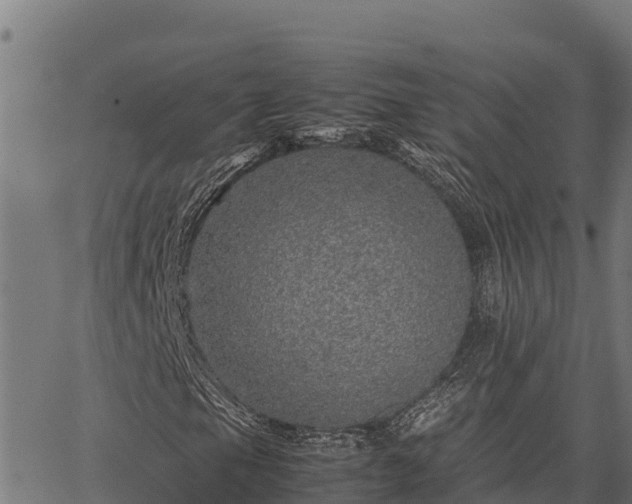 X0000067001105200603311607