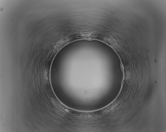 X0000067001106200603311607