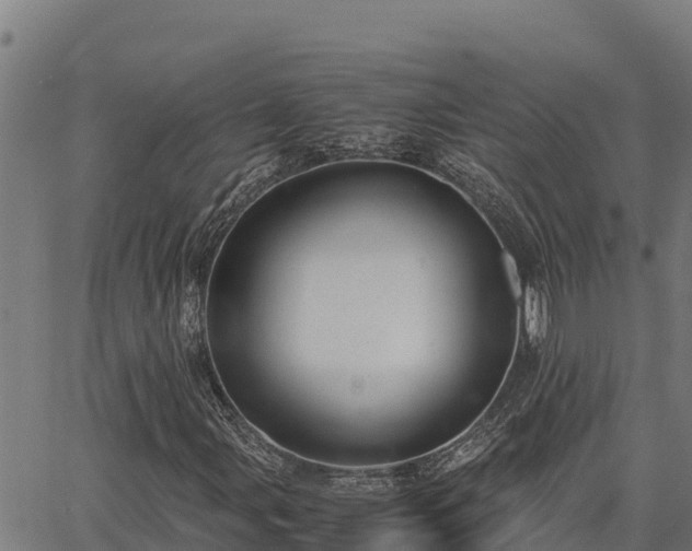 X0000067001107200603311607