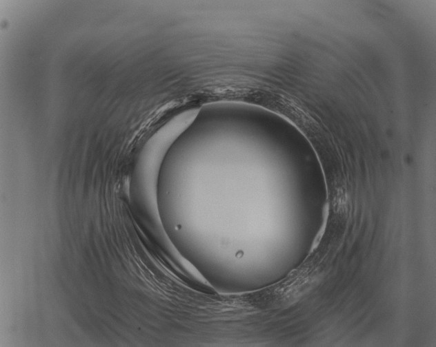 X0000067001108200603311607