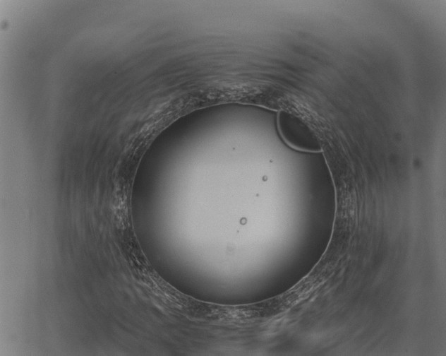 X0000067001109200603311607