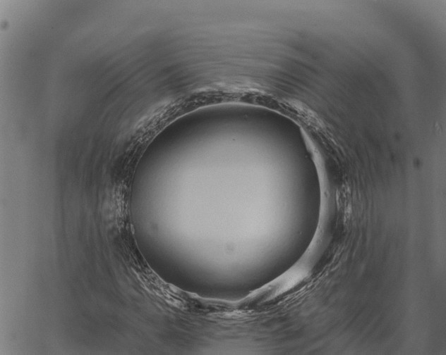 X0000067001110200603311607