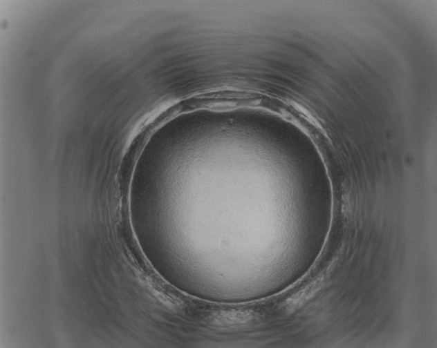 X0000067001117200603311607