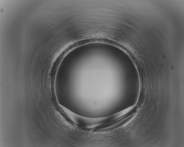 X0000067001118200603311607