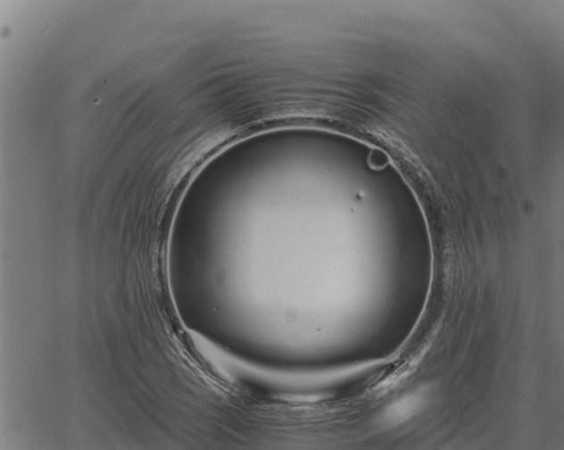 X0000067001121200603311607